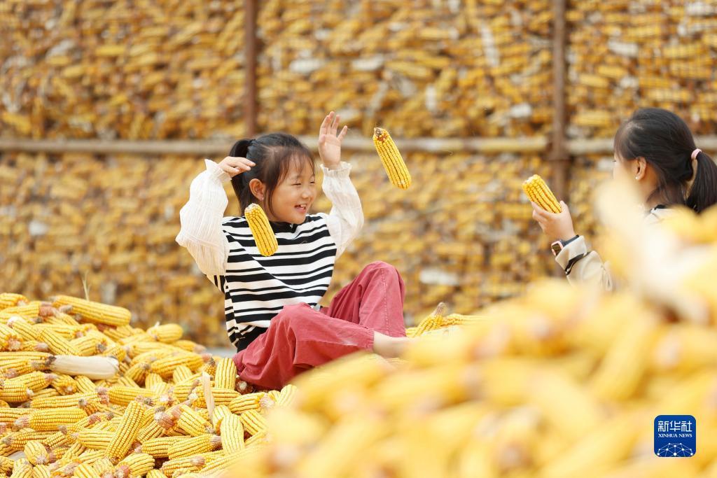 鑫乐娱乐场